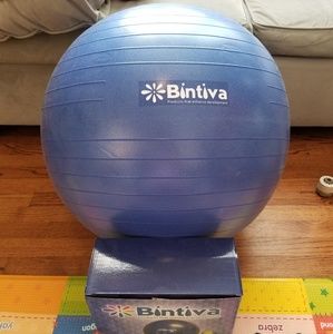 Bintiva exercise / pregnancy ball